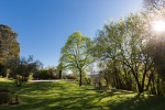 thumb-1